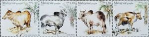 Cattle of Malaysia