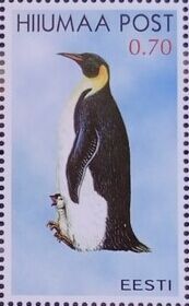 Hiumaa Post. Seabirds