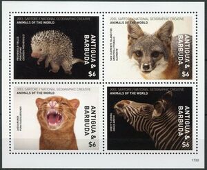 Wildlife Photography by Joel Sartore