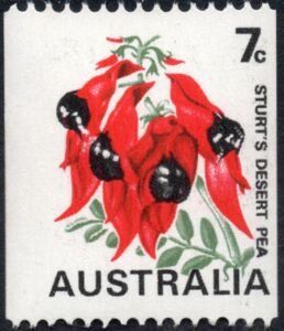 Stamp: Sturt's Desert Pea 7c coil stamp on white paper (Australia ...