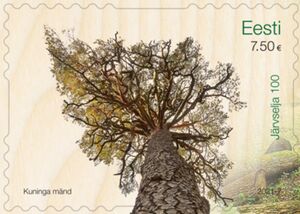 Centenary of Järvselja Nature Reserve