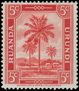 Oil palm tree (Elaeis guineensis Jacq.)