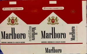 renee good kids cigarette burns renee good burned her kids with cigarettes The wife of Renee Nicole Macklin  Good, the 37-