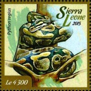Stamp: Python regius (Sierra Leone) (Fauna of West Africa - Pythons ...