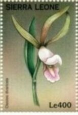 Stamp: Cleistes divaricata (Sierra Leone(Orchids (1997)) Mi:SL 2922,Sn ...