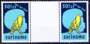 Amazone Parrot (Amazona sp.)