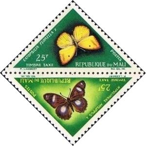 Catopsilia florella and Hypolimnas misippus