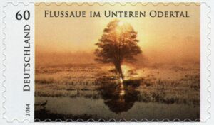 Floodplain in the Lower Oder Valley