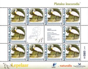 Stamp: Common Spoonbill (Netherlands: Personalized stamps(Birds) NVP:NL ...