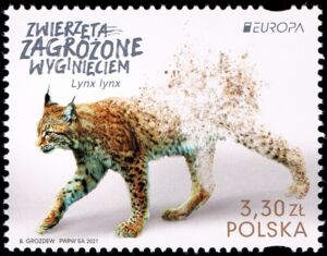 Colnect Item Picture