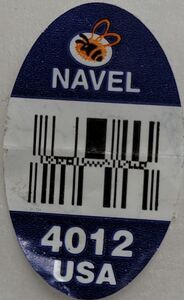 Navel 4012 USA