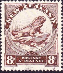 Tuatara (Sphenodon punctatus)