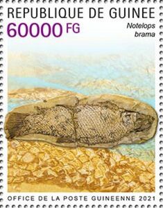 Notelops Stamp: Notelops brama (Guinea(Fossils (2021)) Col:GN 2021-42a