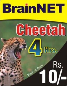 Functional Card: BrainNet Cheetah 4 Hrs (Internet Access, Pakistan ...
