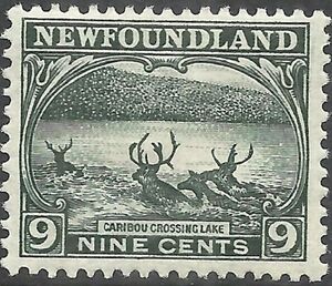 Caribou (Rangifer tarandus) crossing Lake