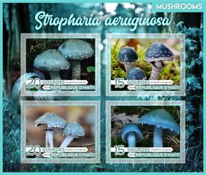 Stropharia aeruginosa