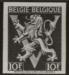 Heraldic Lion with 'V'