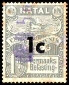 Black and blue wildebeest