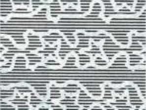 Andean Condor (Vultur gryphus), Airplane over Landscape