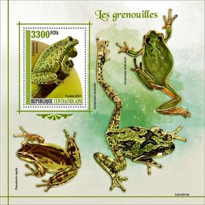 Dryophytes Color Stamp: Dryophytes gratiosus (Central African Republic(Frogs (2021)) Mi ...