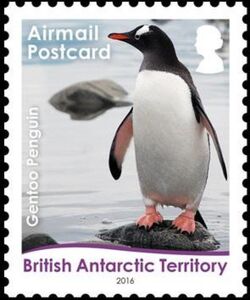 Stamp: Gentoo Penguin (Pygoscelis papua) (British Antarctic Territory