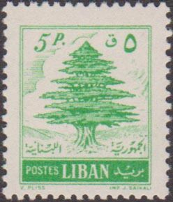 Cedar of Lebanon