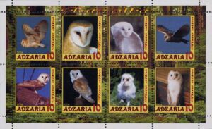 Owls - Tyto alba - Barn Owls