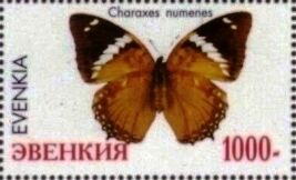 Charaxes numenes