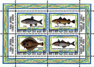 Fishes of Europe