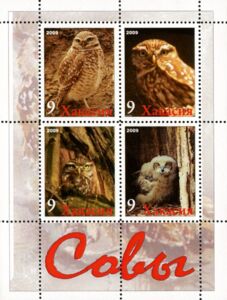 Owls
