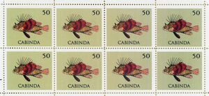 Red lionfish (Pterois volitans)