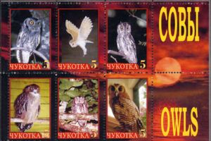 Owls