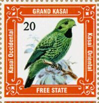 Green parakeet (Psittacara holochlorus)