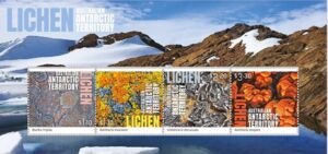 Lichen