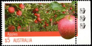 Apples - 3rd Reprint - 3 koalas
