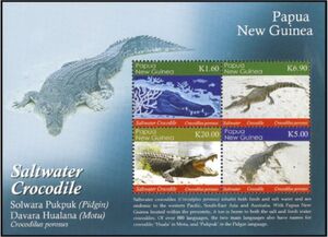 Saltwater Crocodile (Crocodilus porosus)