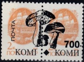Mushrooms overprint