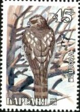 Buzzard (with fake EUROPA logo)