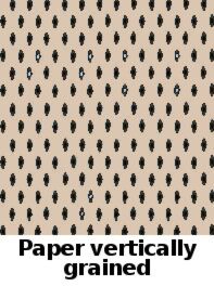 Justo José de Urquiza (1801-1870), General