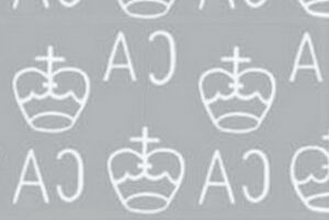 Globe and Human Rights Emblem