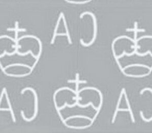 Beautiful Long-tailed Sunbird (Cinnyris pulchellus) - ovpt