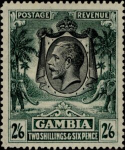 King George V, African Elephant (Loxodonta africana)