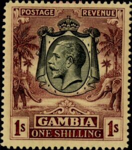 King George V, African Elephant (Loxodonta africana)