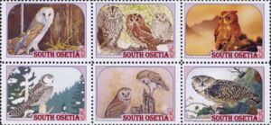 Owls - White Borders