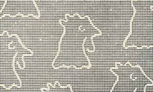 White Fringed Ground Orchid (Holothrix longiflora)