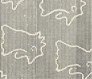 Zebu bull (Bos primigenius indicus)