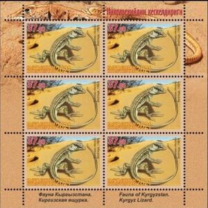 Kyrgyz Racerunner (Eremias nikolskii)