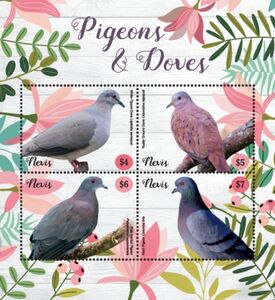Pigeons and Doves