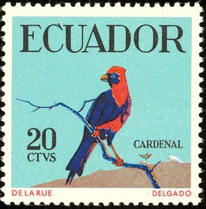 Masked Crimson Tanager (Ramphocelus nigrogularis) 	   