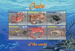 Crabs of the World
